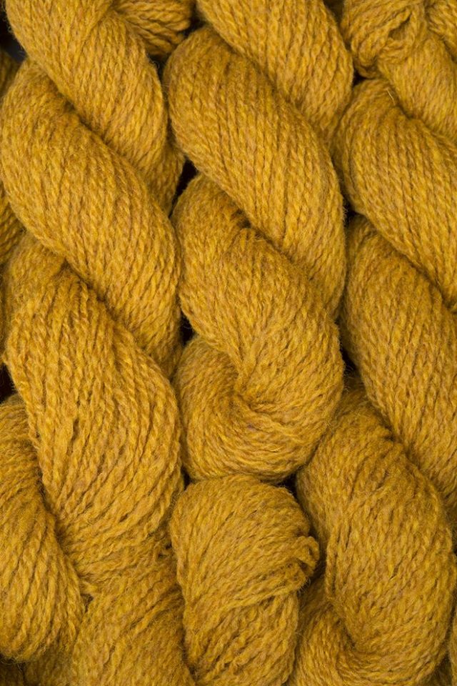 Alice Starmore Hebridean 2 Ply pure new British wool hand knitting Yarn in Whin colour